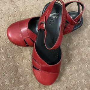 Dansko Clogs